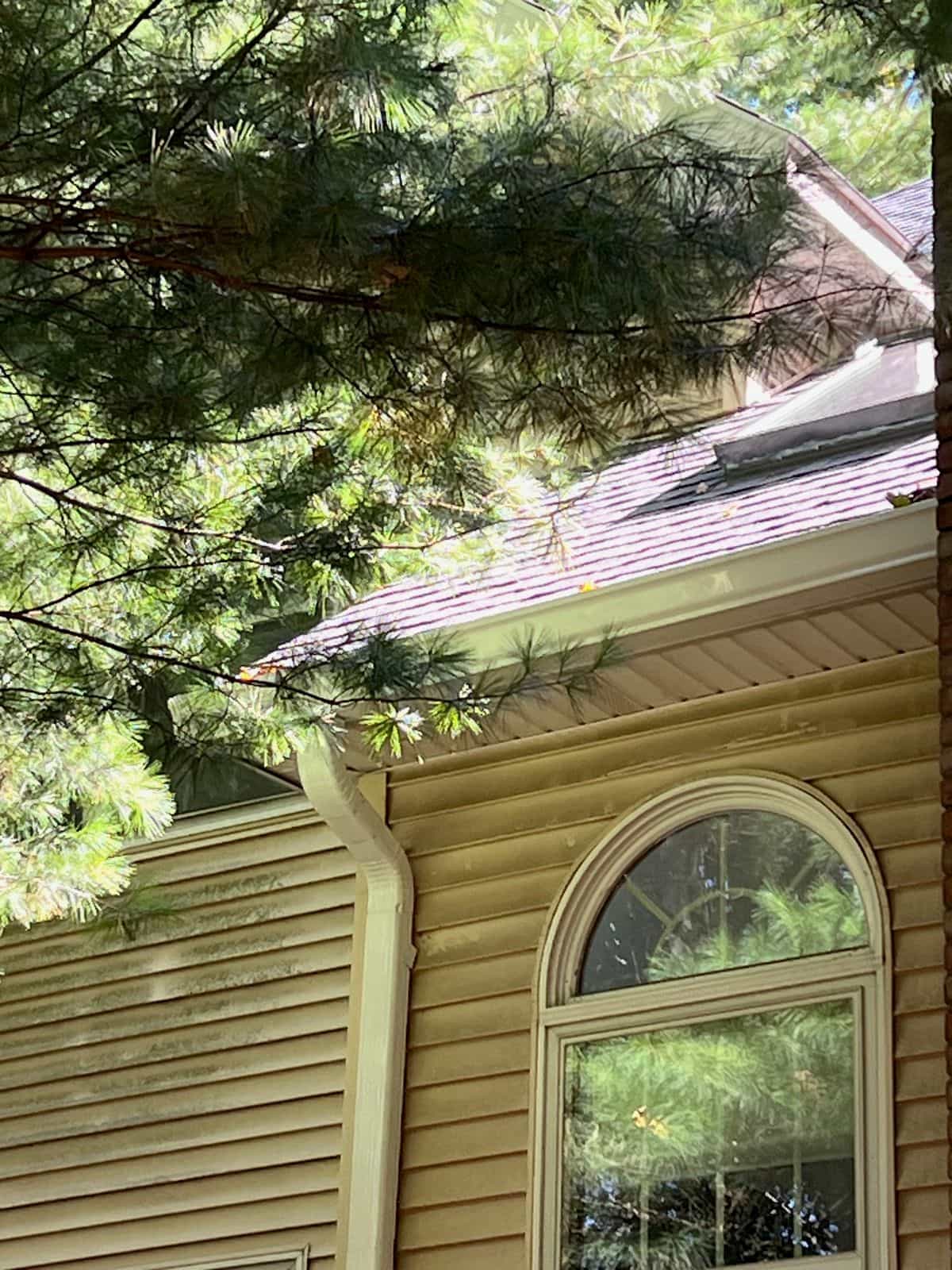 How to Hang Christmas Lights Without Damaging Your Roof, Gutters or Siding